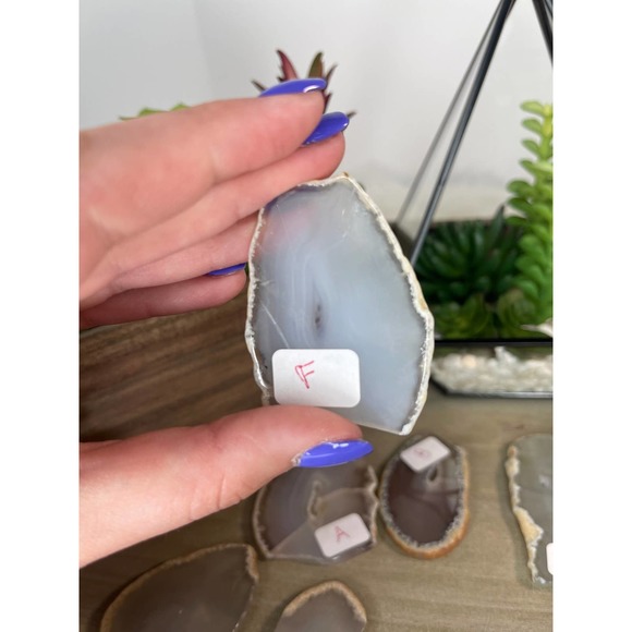 Agate Slices Polished Crystal E and F - Picture 4 of 5